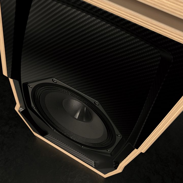 DJ monitor